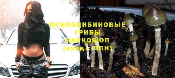 спиды Арсеньев