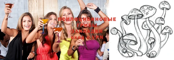 винт Аркадак