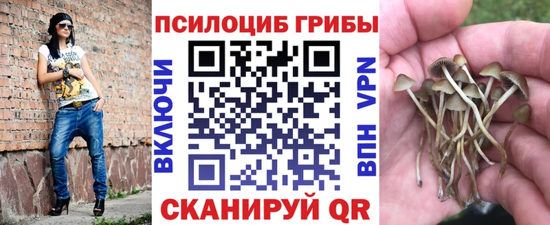 Псилоцибиновые грибы ЛСД  купить наркотики сайты  Сорск 